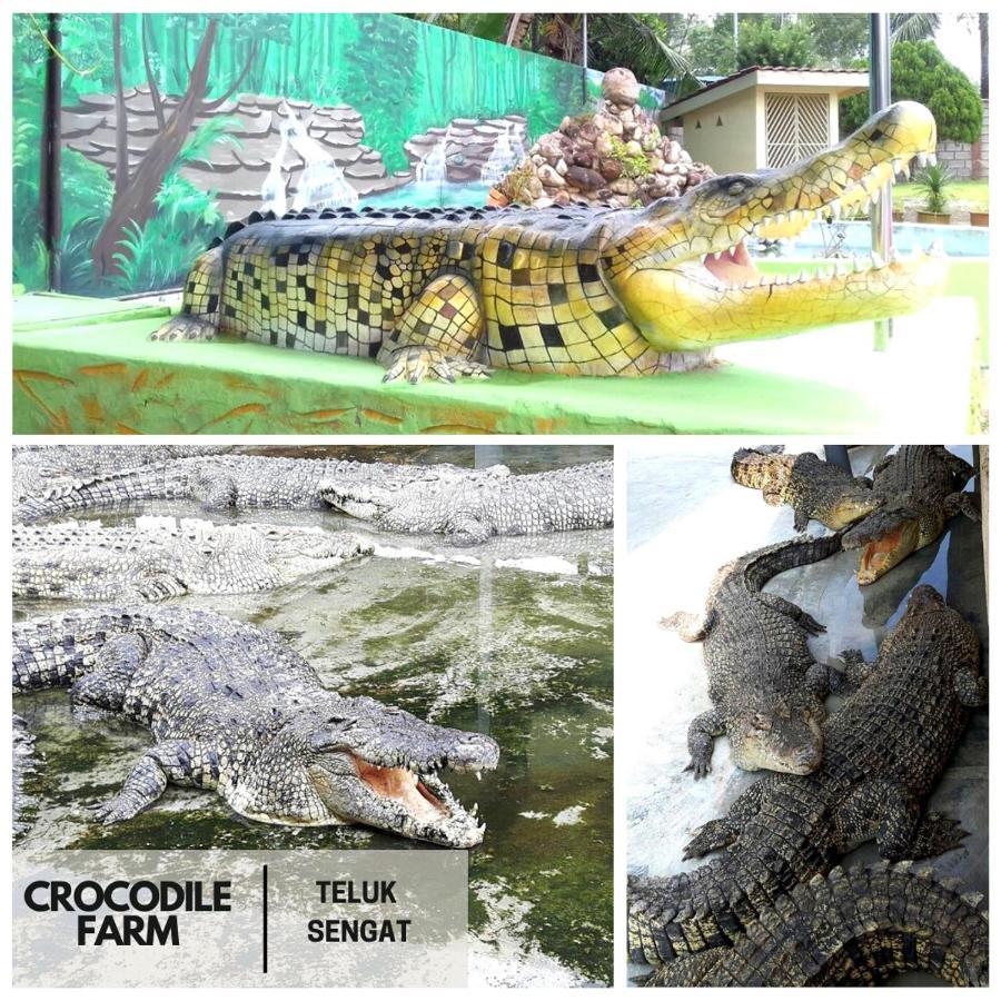 Desaru, Bayu Balau Beach Resort Bandar Penawar Kültér fotó